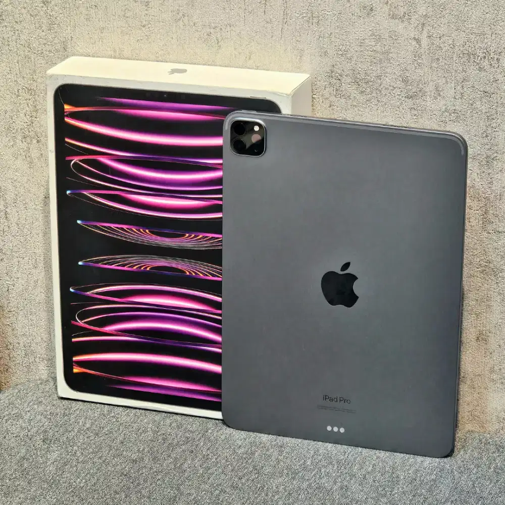 iPad pro m2 256gb wifi