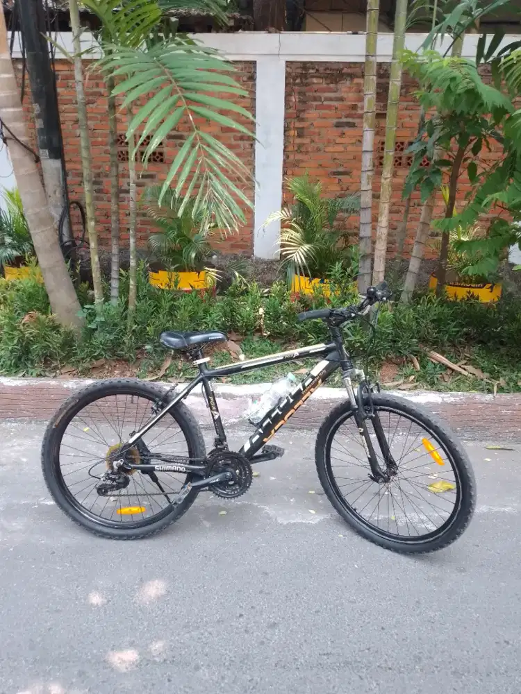 Sepeda gunung Mtb Aleoca profesional Italy size 26