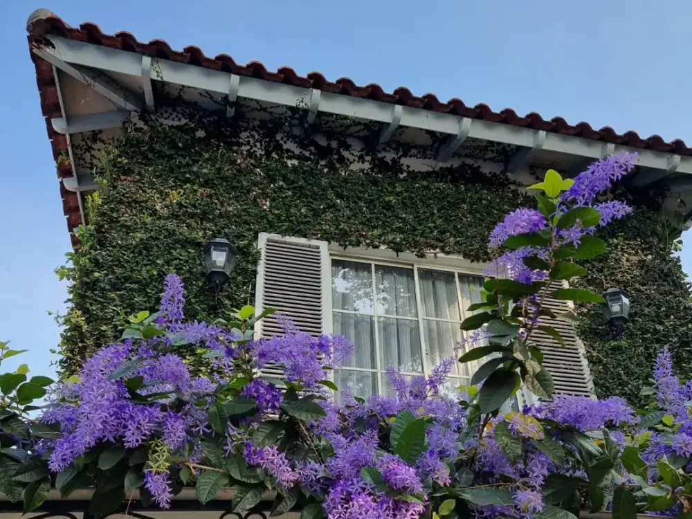 Dijual Rumah Mewah Lippo Karawaci Full Furnish