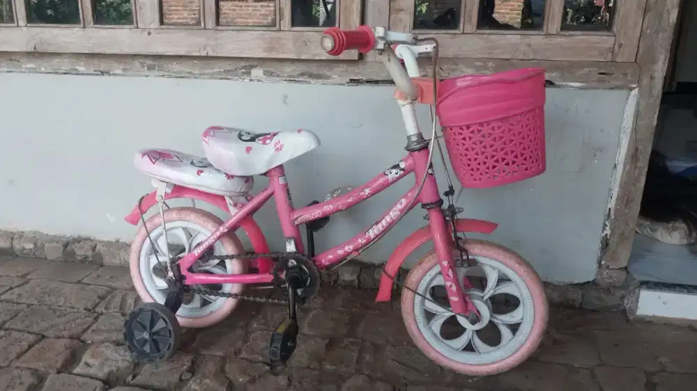 Sepeda anak , kondisi bekas. Boleh tanya tanya dulu