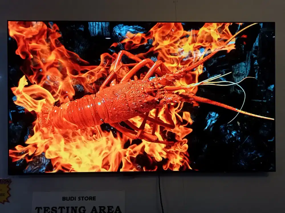 LG 65 Inch OLED C2 Evo Thinq AI Smart TV