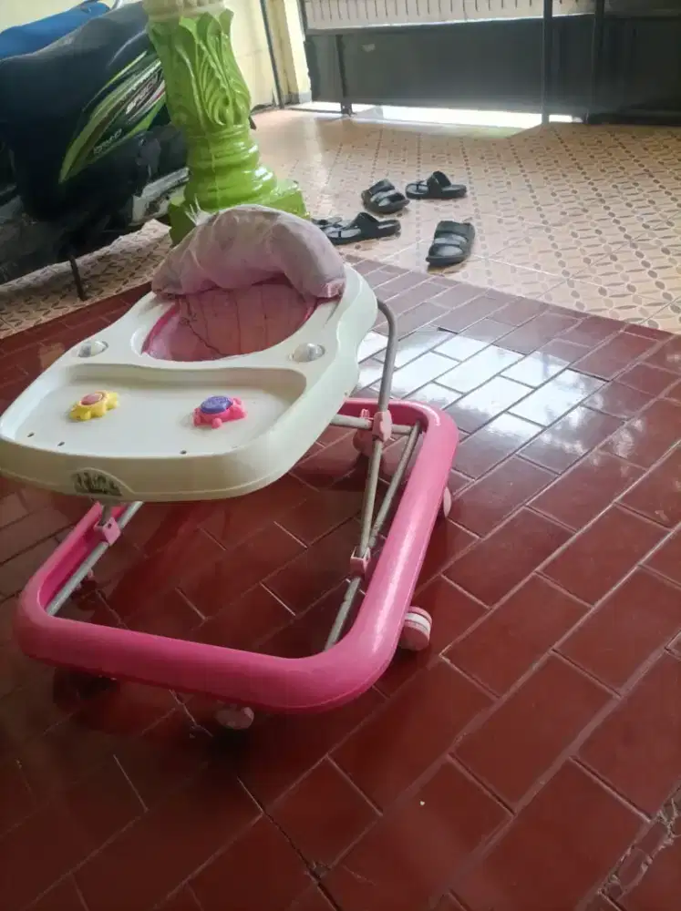 Babywalker family