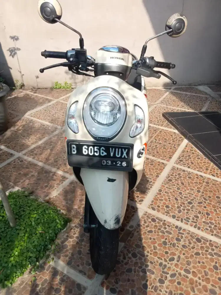 Scoopy 2021 cream
