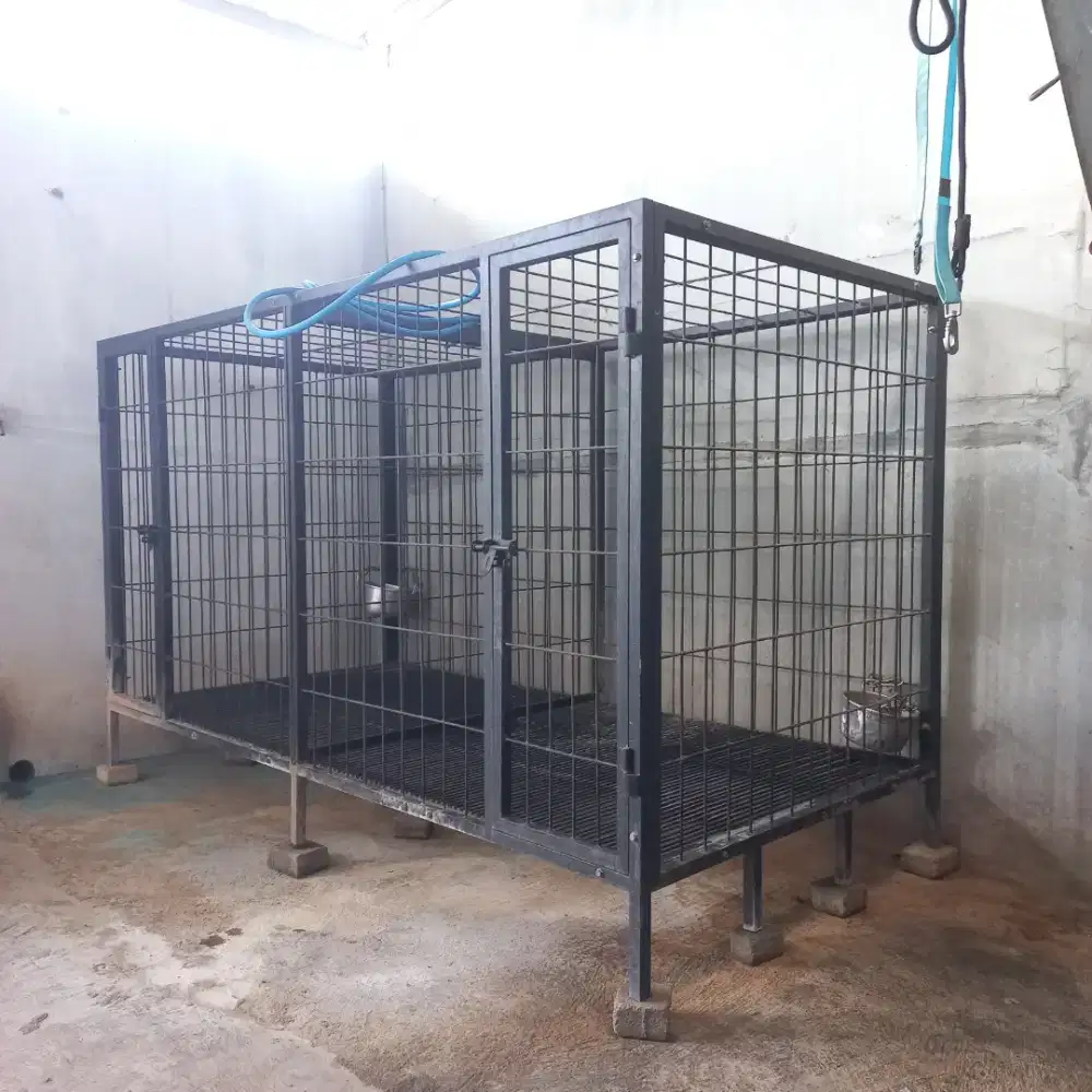 Kandang anjing pitbull