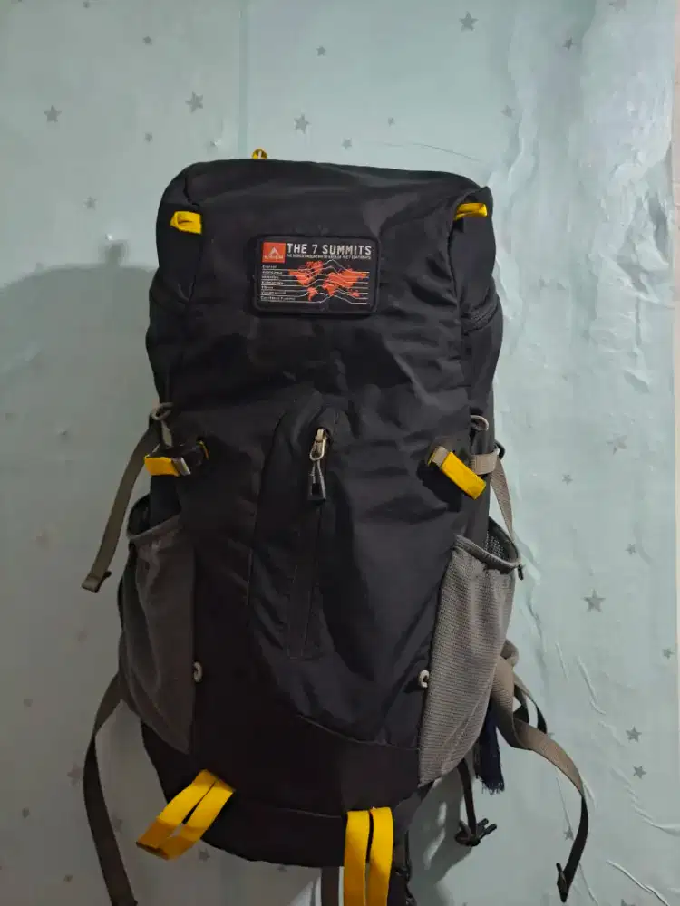 Eiger demi carrier