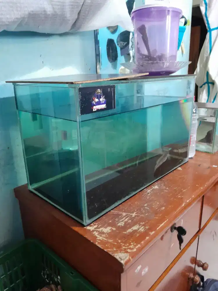 Aquarium kaca 25x50x35
