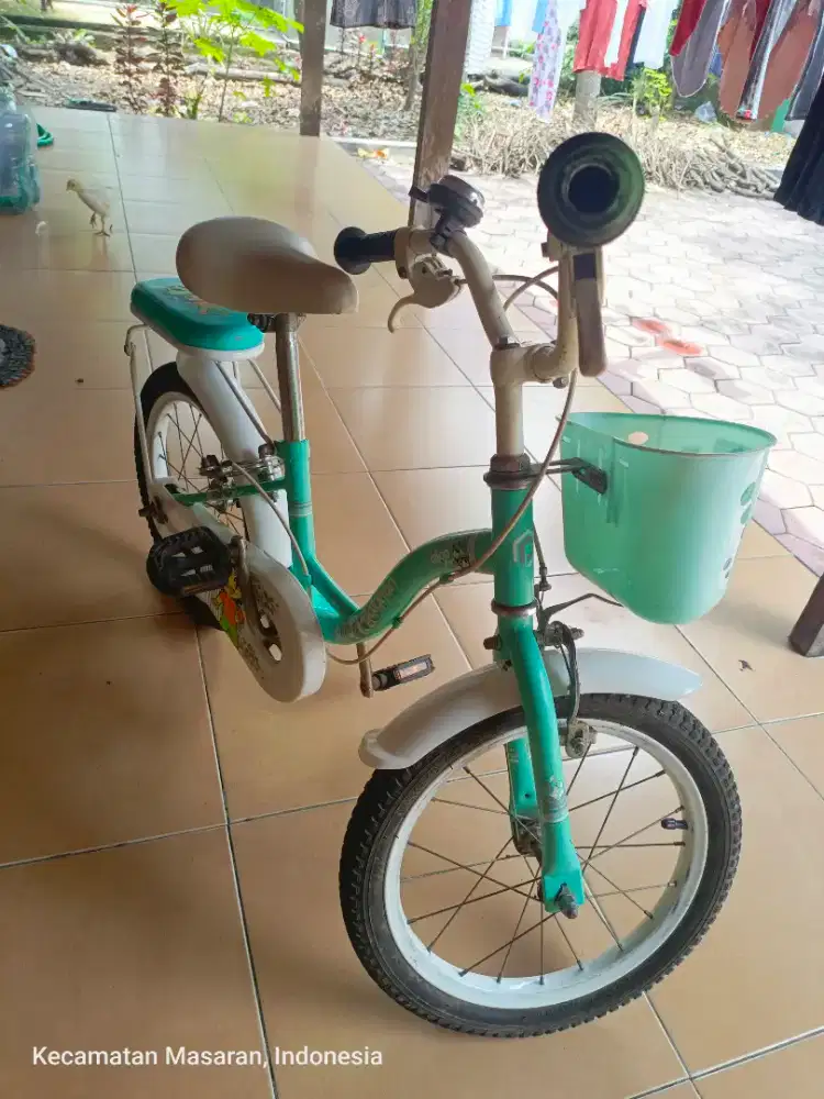 Jual sepeda mini polygon 16