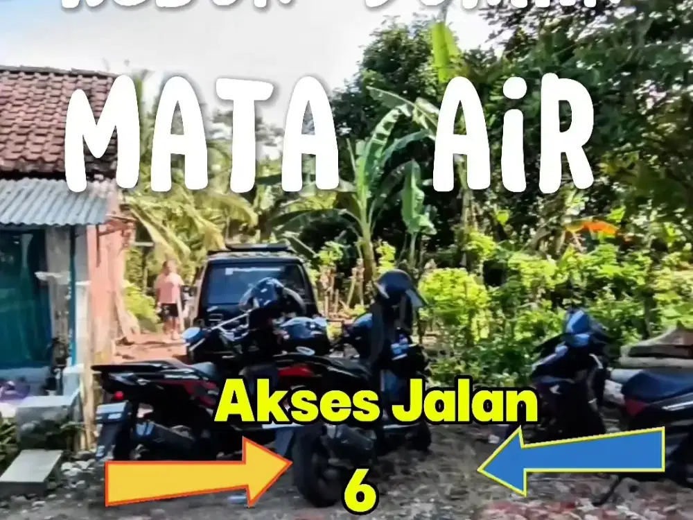 KEBUN MATA AIR & DURIAN PESUCEN BANYUWANGI