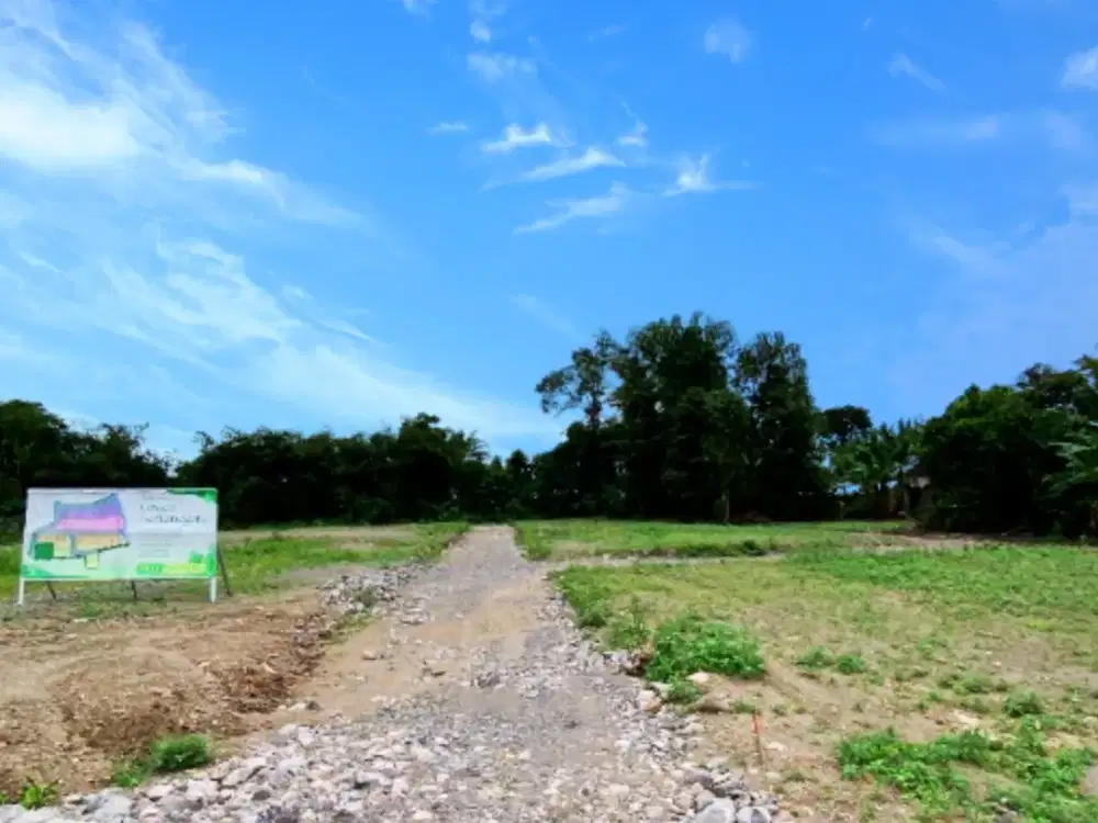 1,7 Jt/m Tanah Dijual Di Kalasan Sleman, Sertipikat SHM Pekarangan