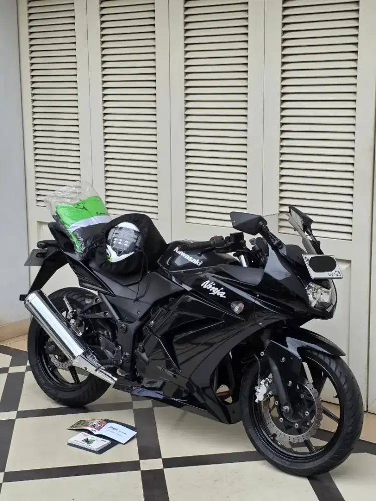 Kawasaki ninja 250R 2009 km 4 ribu gress