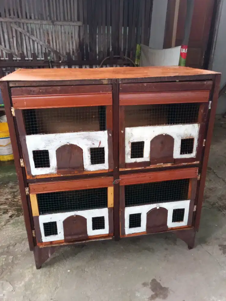 Kandang merpati semi macan ukuran perkotak 60x60 -+