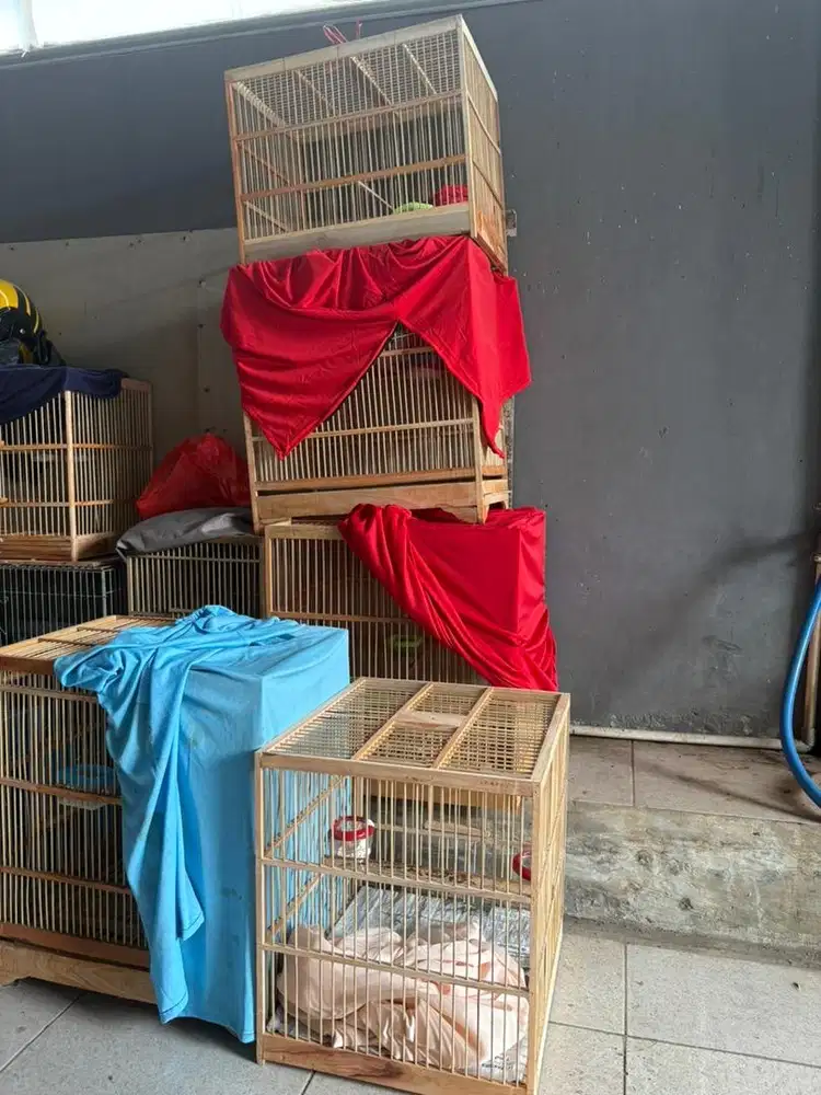 kandang sangkar burung untuk kirim kirim
