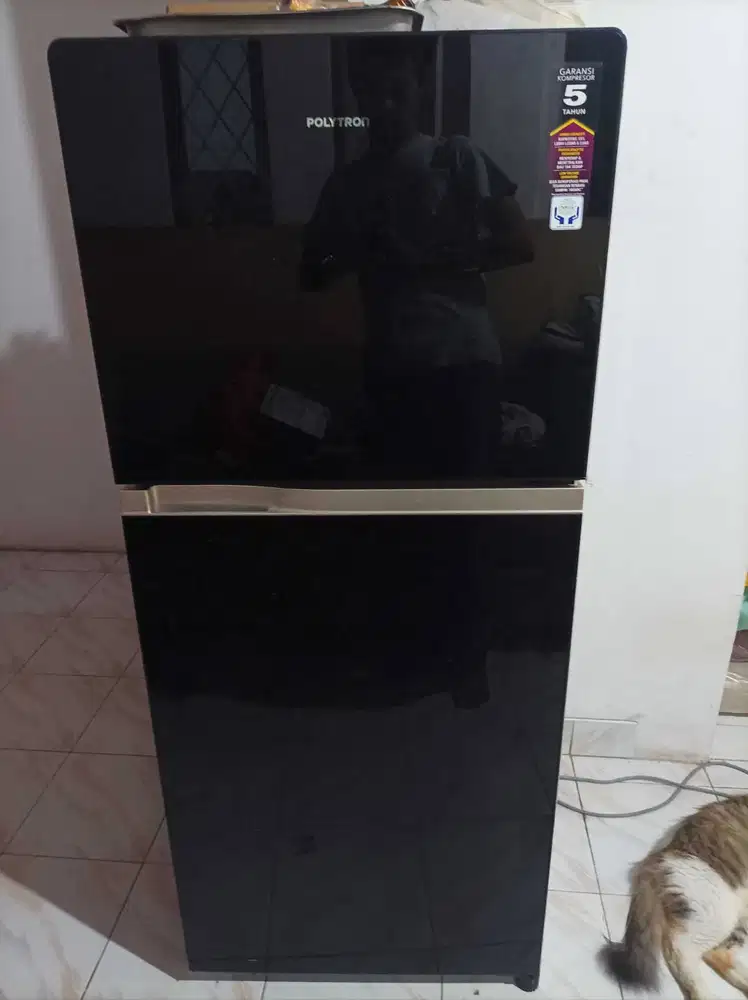 Kulkas 2 pintu Polytron belleza