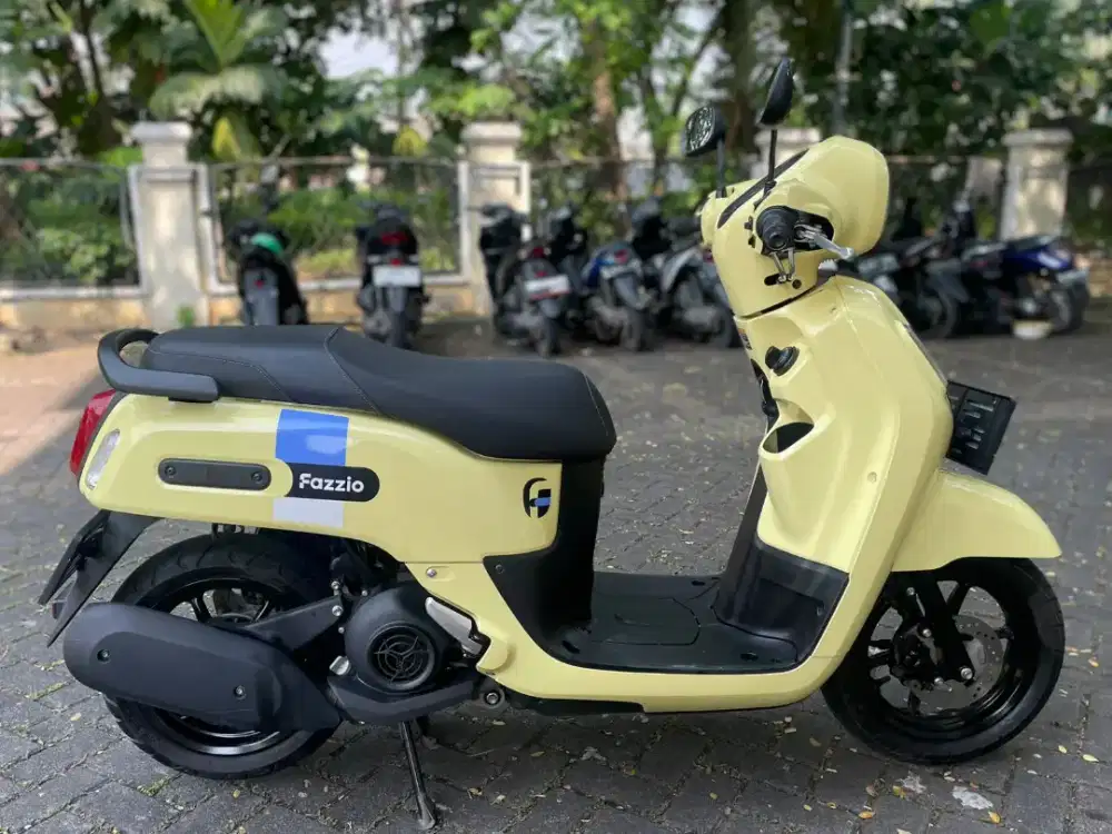 Fazzio 2024 Pajak Panjang