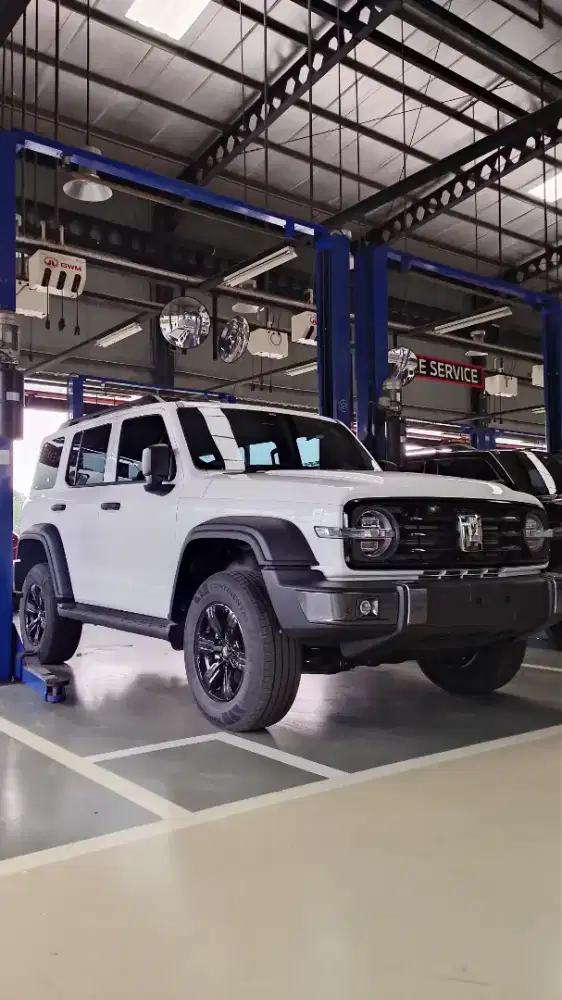 Tank 300 4x4 Diesel Turbo - Hamilton White