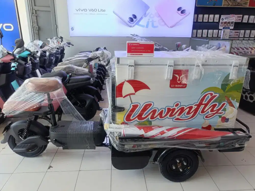 Sepeda Listrik Uwinfly GB