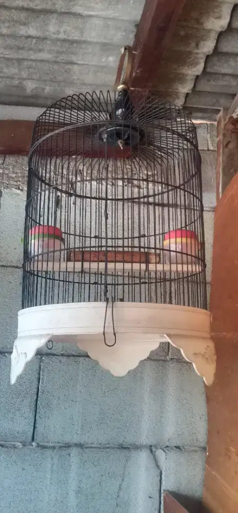 Kandang burung besi bekas ukuran sedang