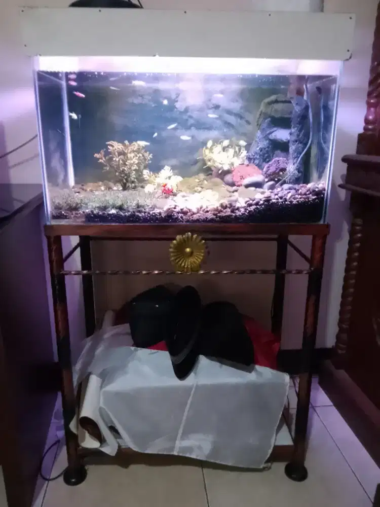 Jual aguarium dengan meja besi