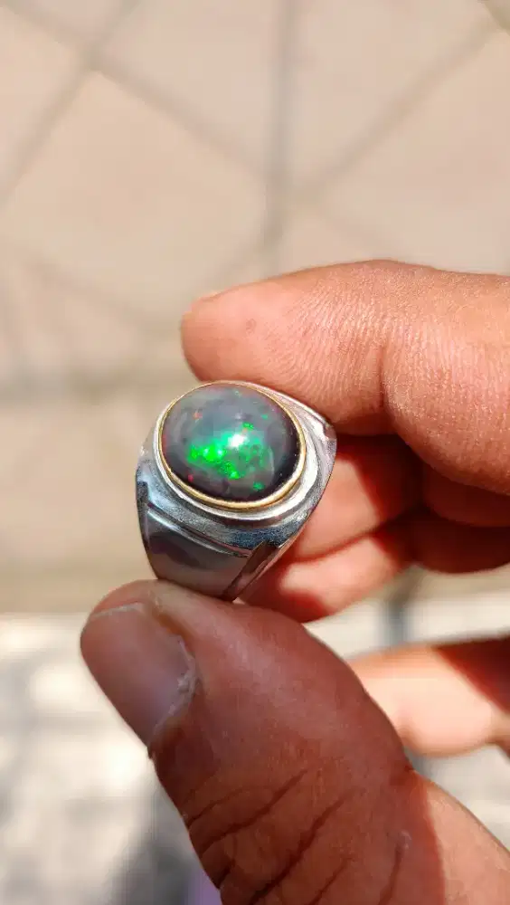 Batu permata black opal / kalimaya Afrika kolektor