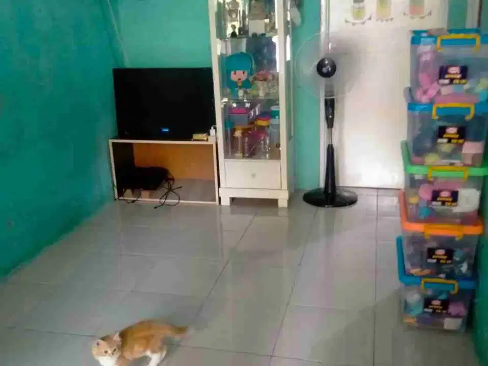 jual cash 350jta perum grand nusa indah Cileungsi SHM siap huni