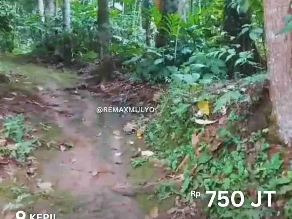 Dijual Tanah Lokasi Wonosobo
