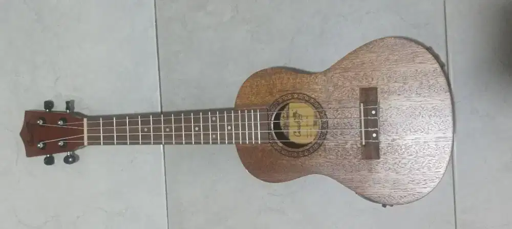 Ukulele Concerto Akustik Elektrik