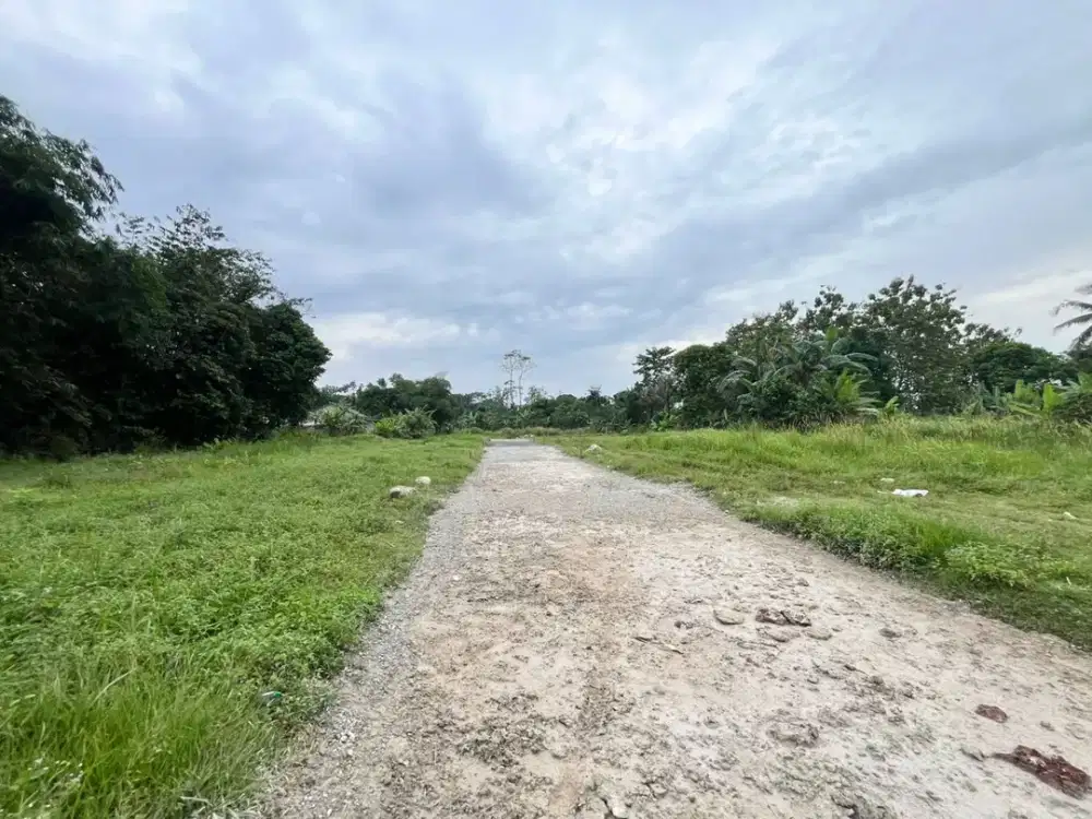 Tanah SHM Cisauk Dekat Tol Cocok Hunian