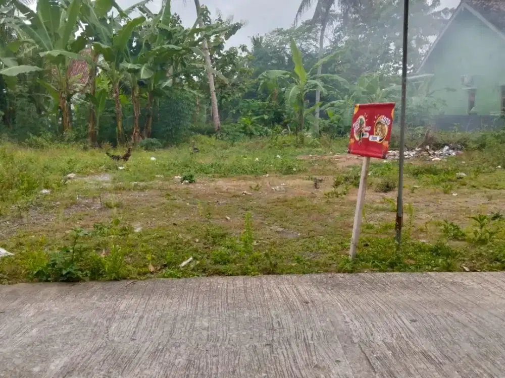 Tanah Pekarangan Bagus Murah di Wates Kulonprogo #Kode : TP 155