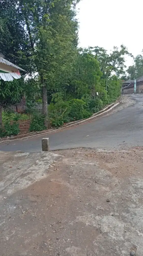 TANAH MURAH 1000M 90JT BANYAK POHON JATI DEKET WARGA COCOK BUAT INVES