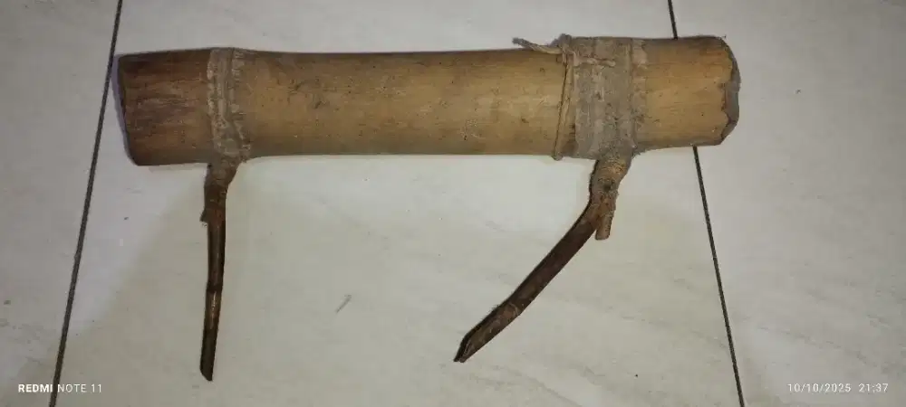 Bambu langka dan unik