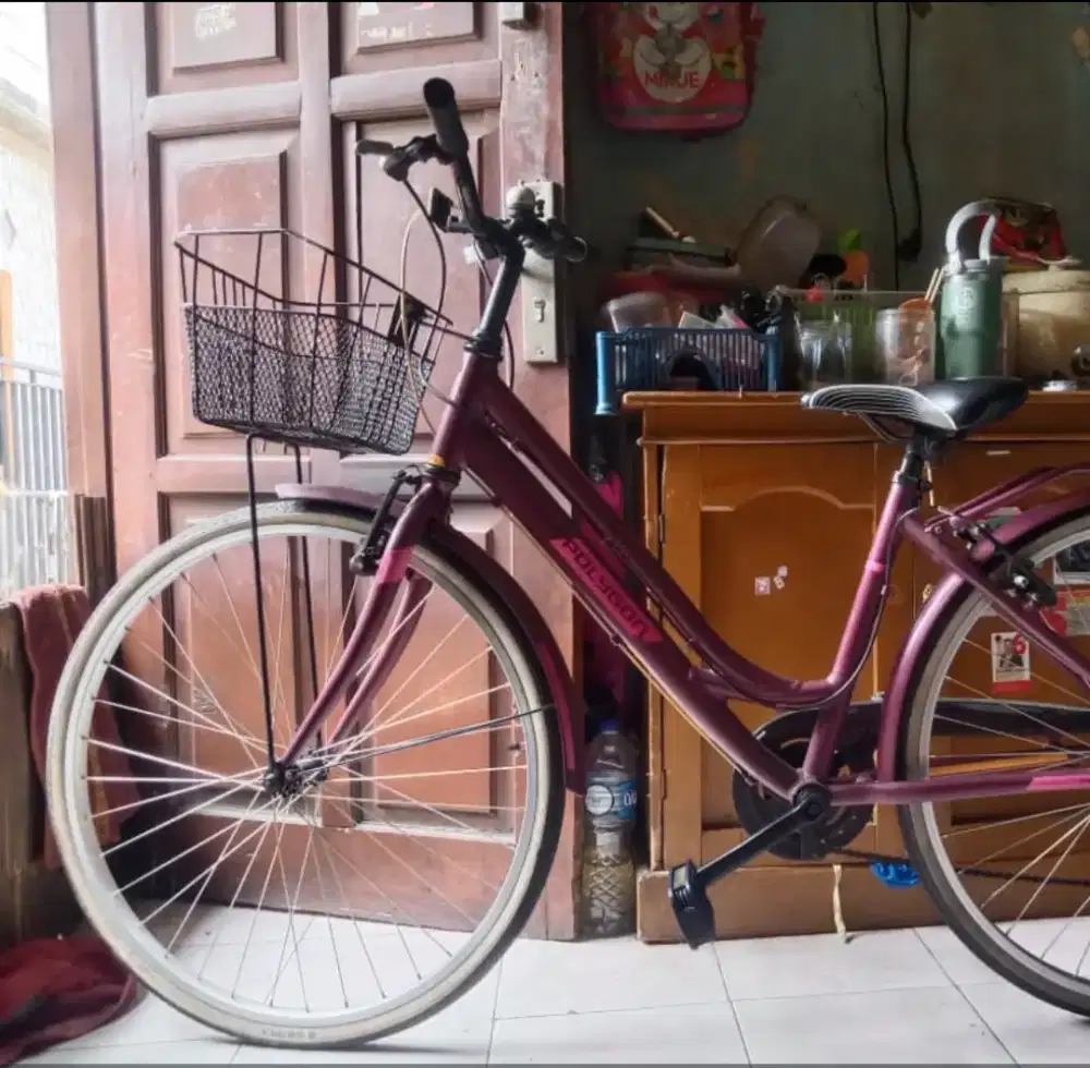 di jual sepeda  orang dewasa
