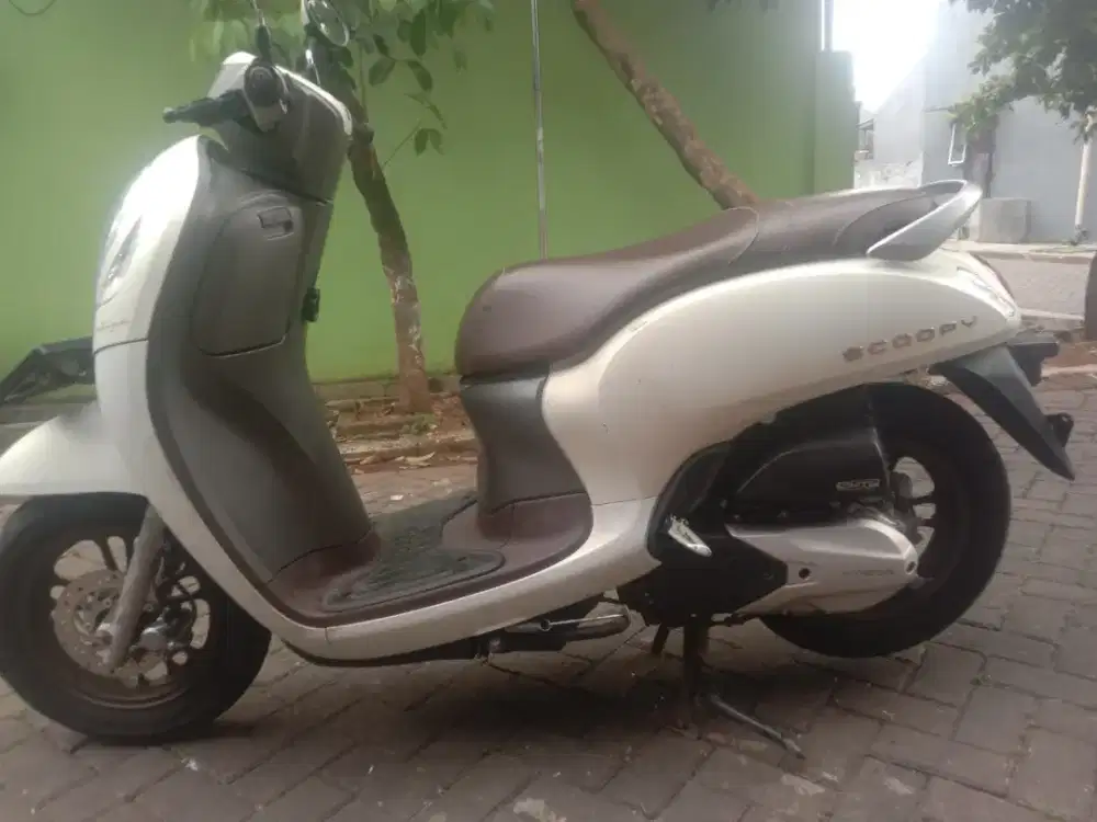 Honda Scoopy Tahun 2024 Warna Putih