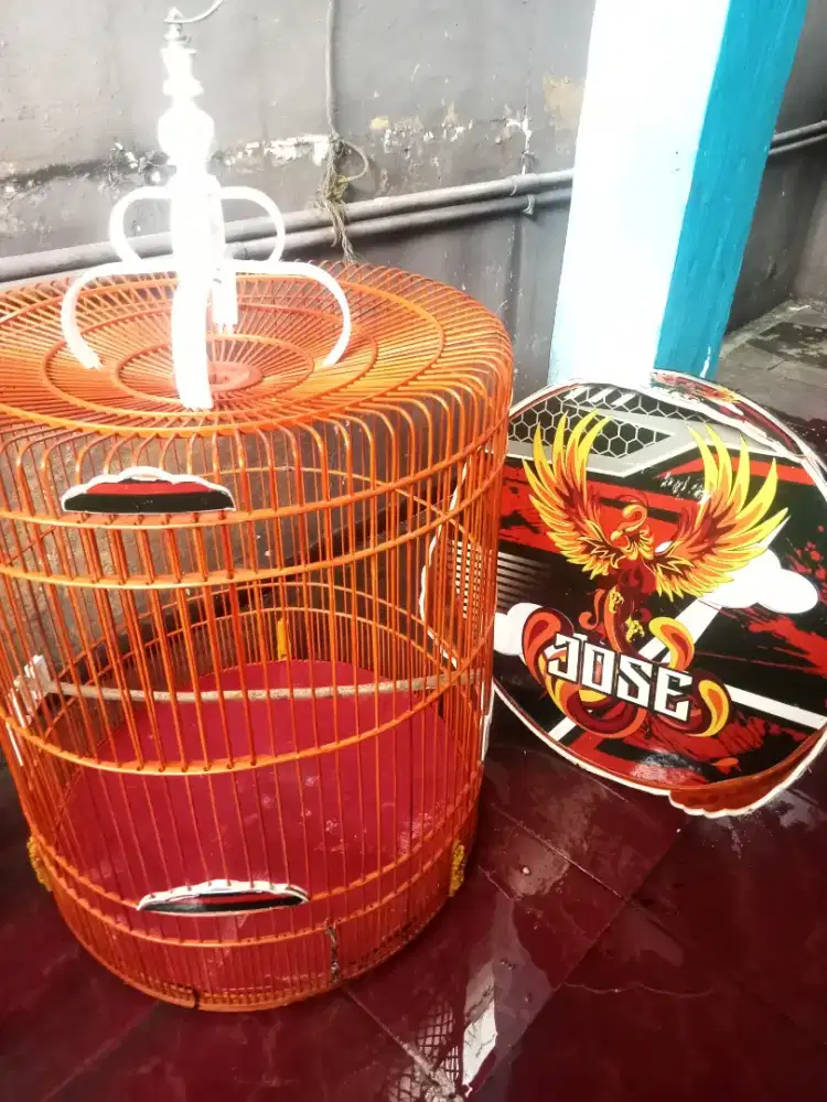 Kandang burung murai