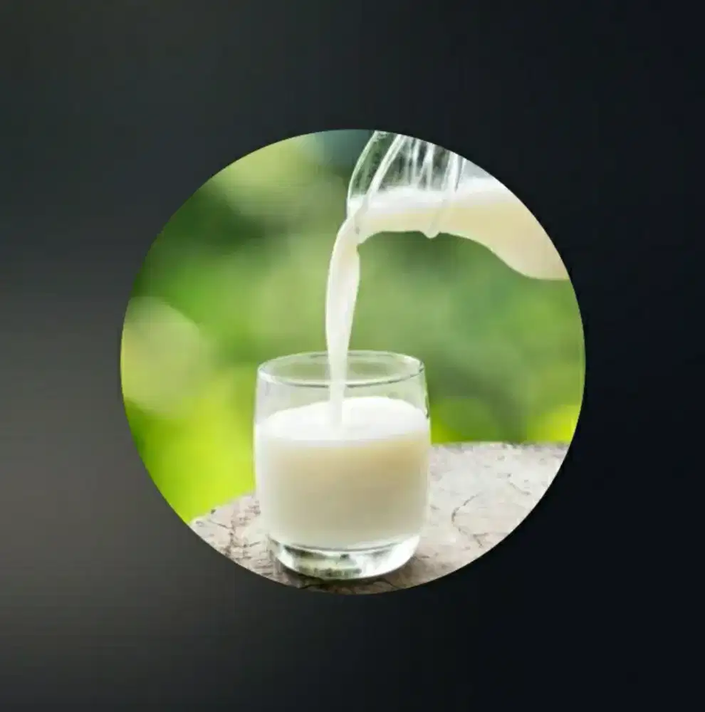 jual susu kambing keliling