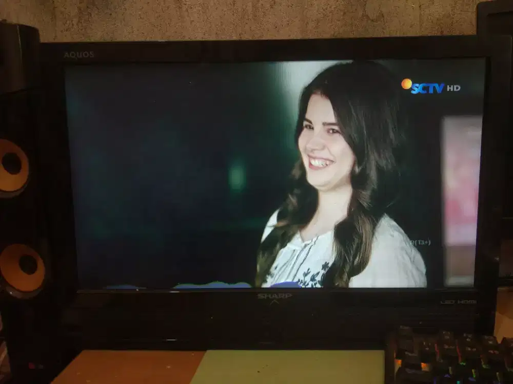 Tv Sharp 19 Inch