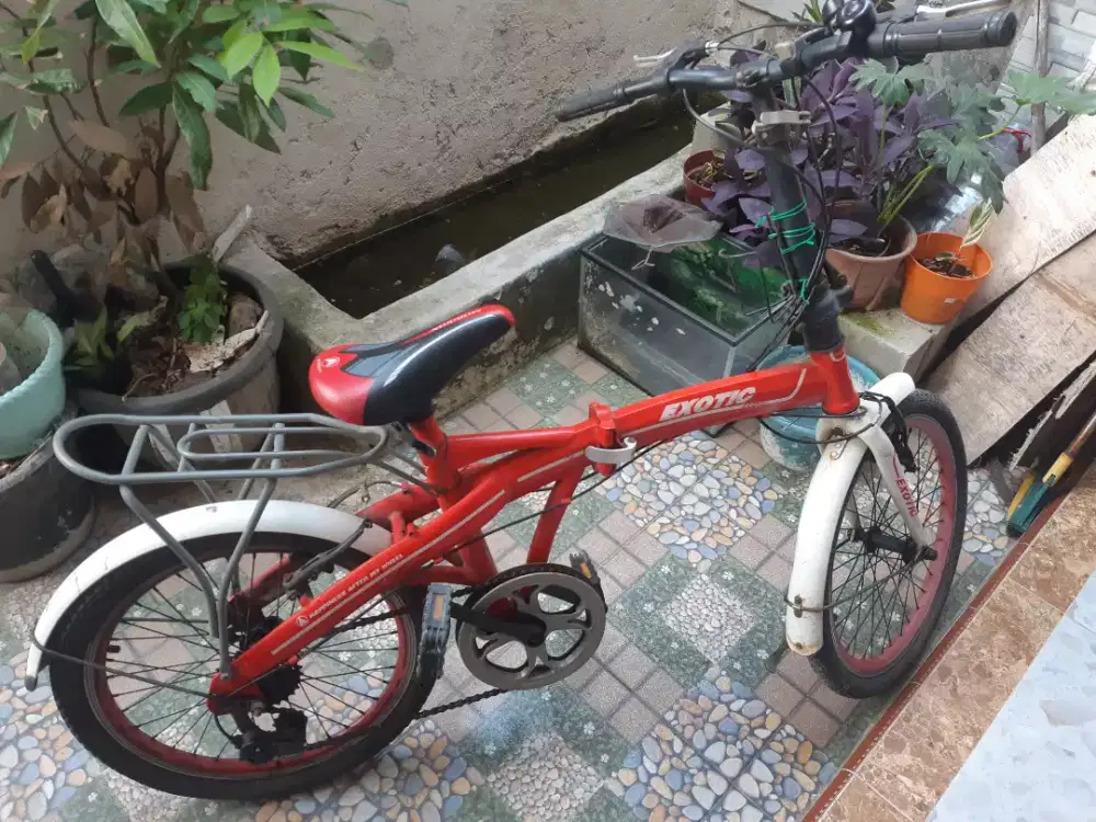 Sepeda lipat exotic