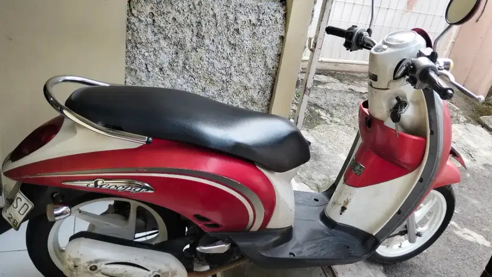 Scoopy karbu, 2013