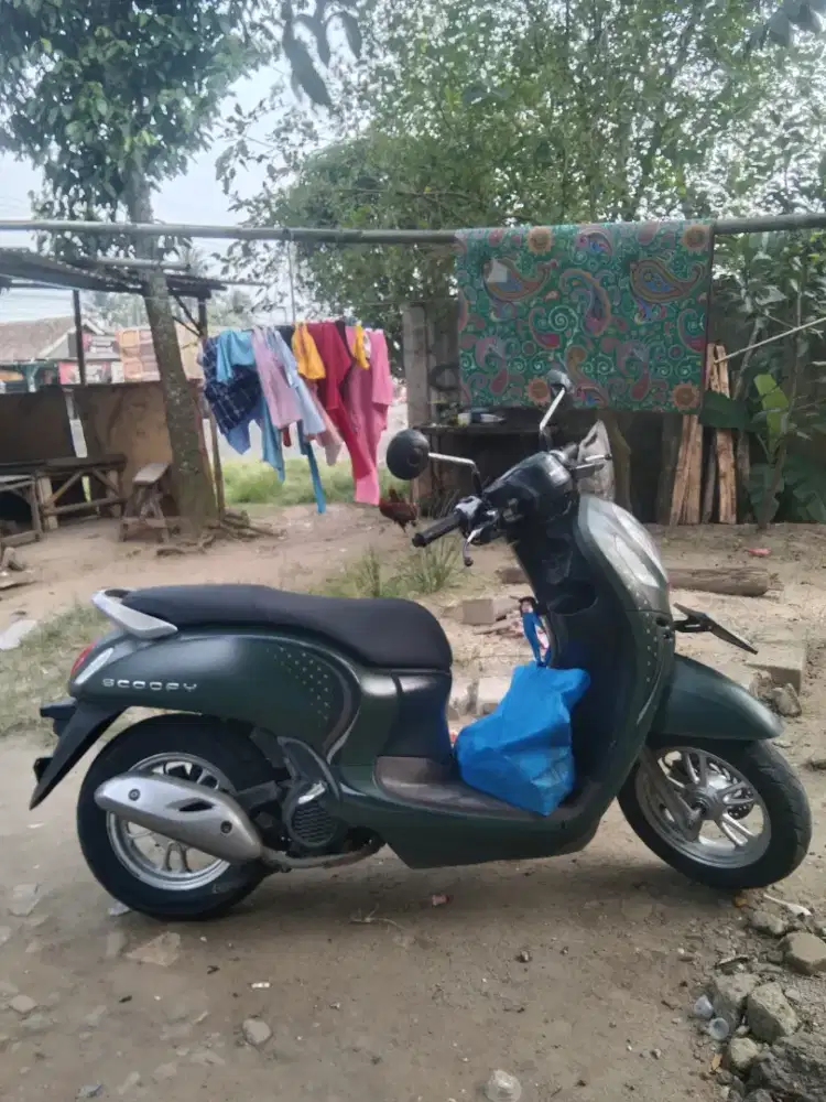 Jual Scoopy 2024