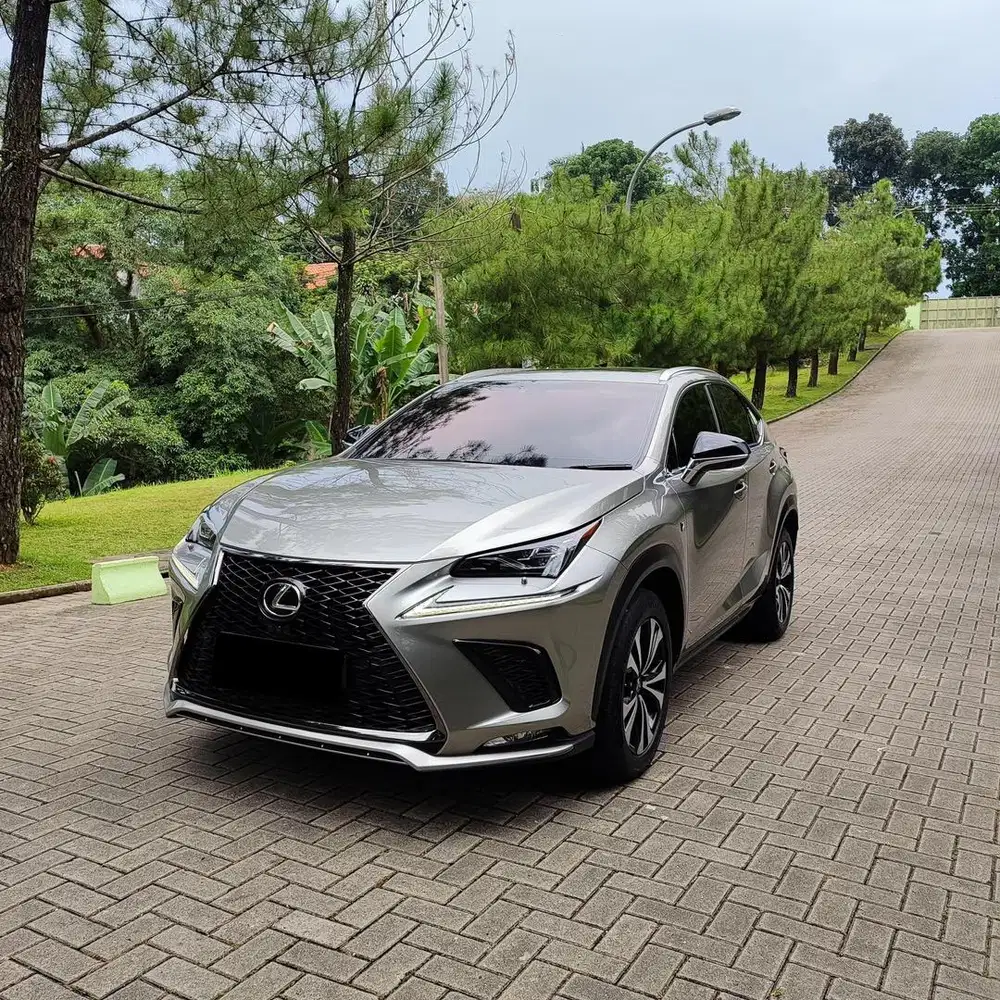 Lexus NX300 F Sport 2.0 2018