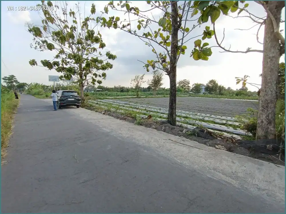 300 Jt-an dekat UII, Jual Tanah Jogja : Akses Lebar
