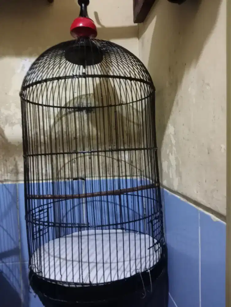 Kandang kapsul lb bekas perkutut