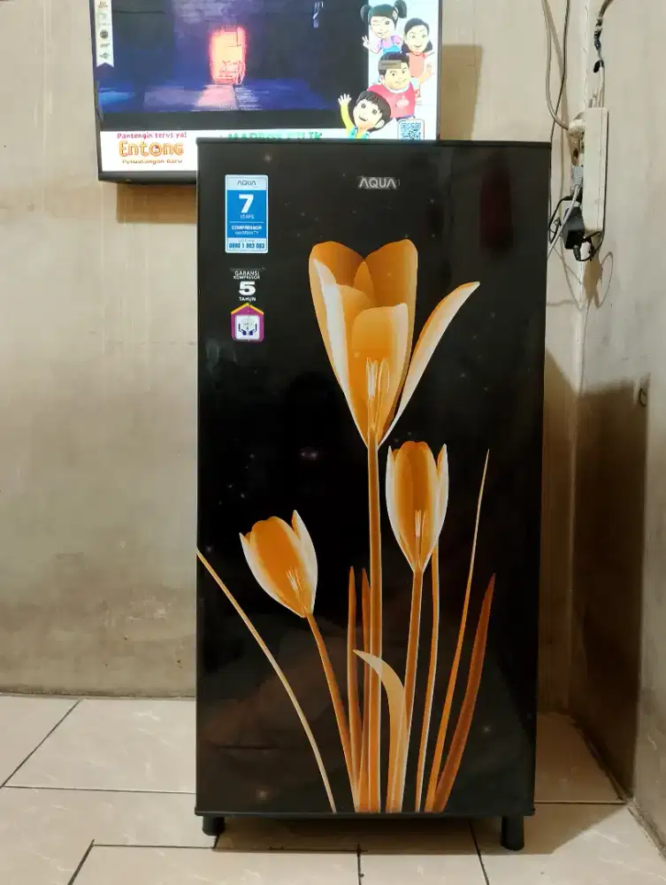 kulkas Aqua 1 pintu