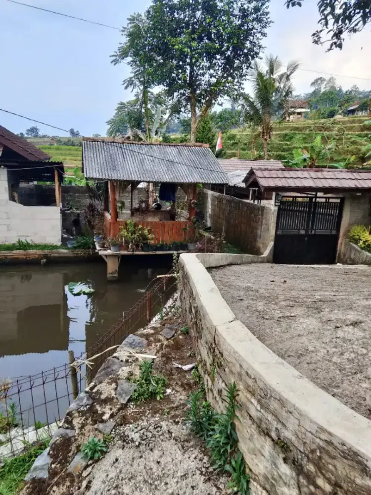 Jual tanah dan kolam ikan