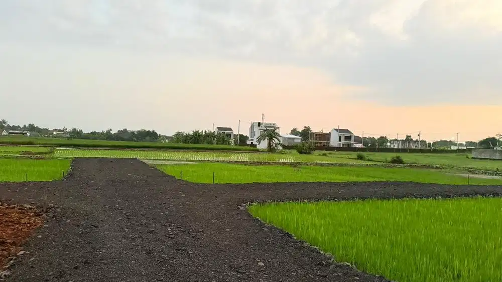 Tanah Murah Akses Mobil