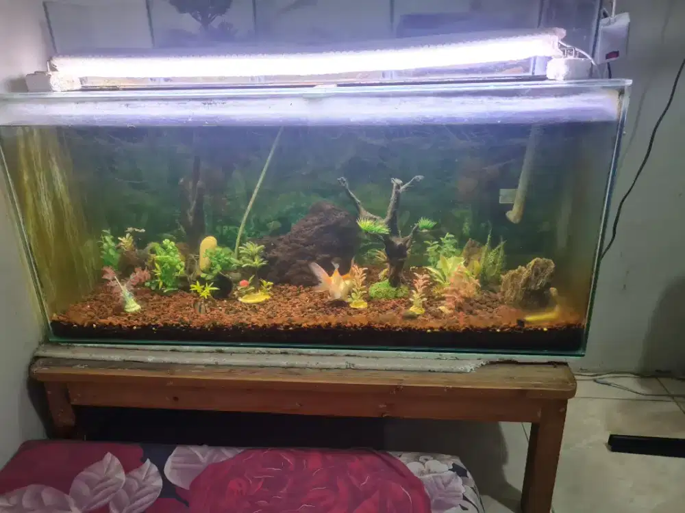 Aquarium full set