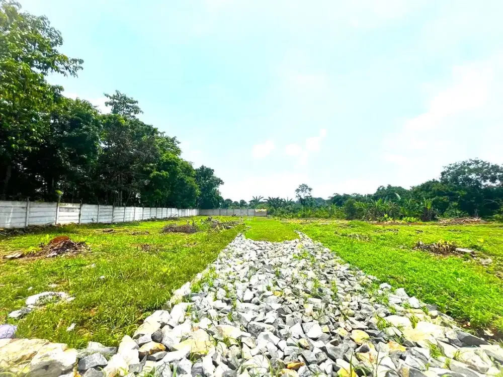 Tanah Murah Cisauk Dekat Stasiun Jatake BSD, Strategis