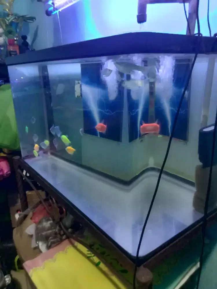 Aquarium Aklirik Bending + Rak Ukuran 60cm x 30 cm x 35
