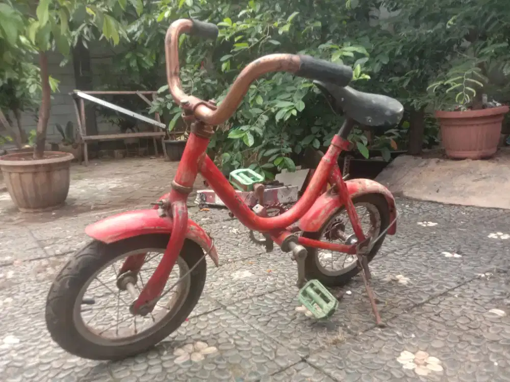 Sepeda Mini Anak