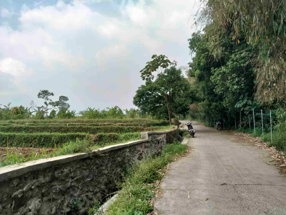 Tanah kebun SHM pinggir jalan dekat wisata gunung Puntang