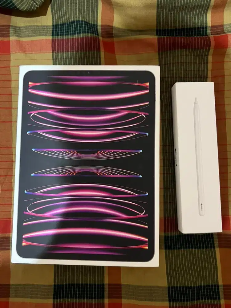 iPad Pro 2022 M2 256 GB wifi only ex ibox dan Apple Pencil Gen 2